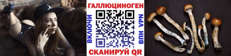 Галлюциногенные грибы Psilocybine cubensis  Купить закладки  Нестеров 